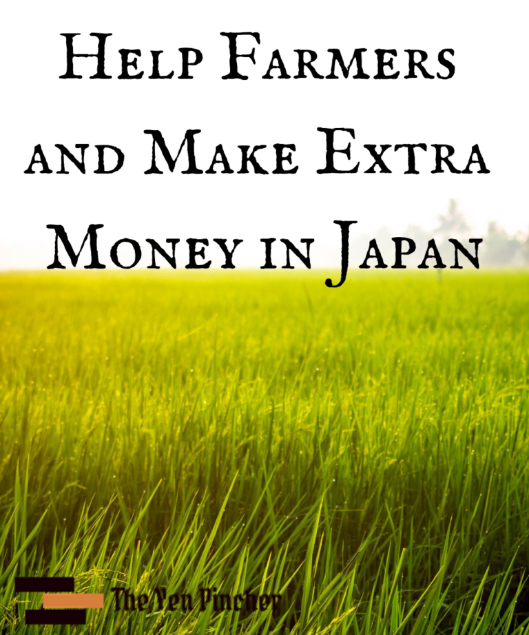 Read more about the article Help Farmers and Make Extra Money in Japan